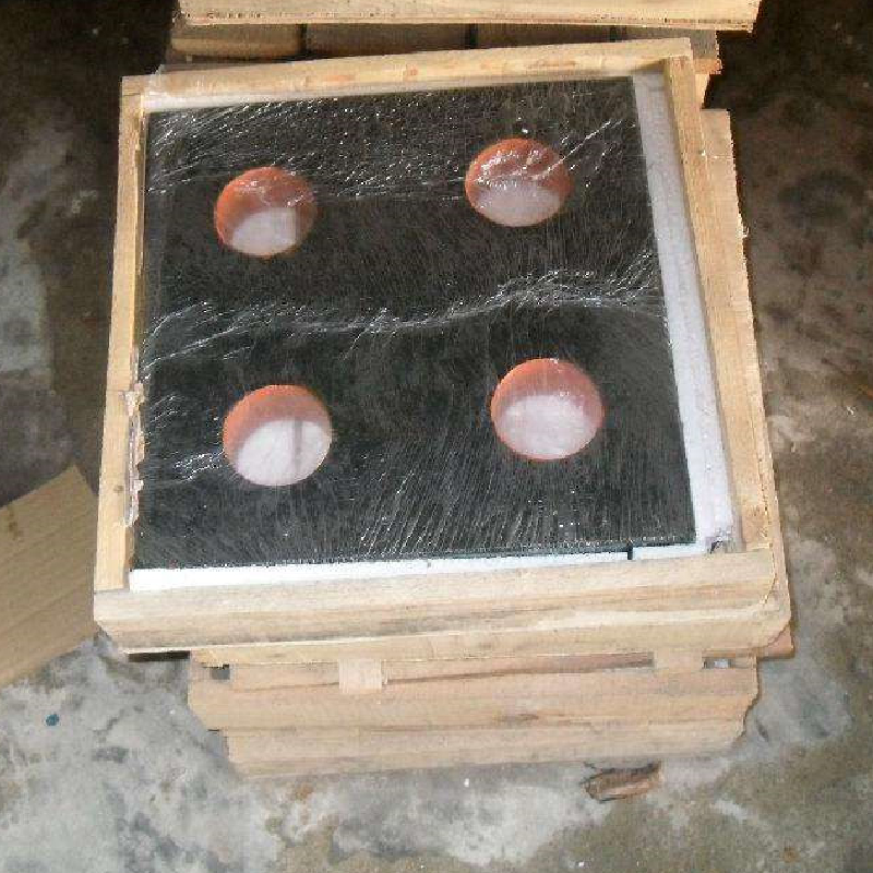 검사 통치자
